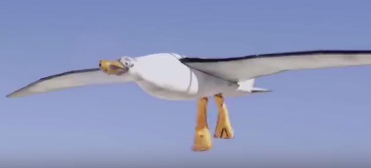nivea seagull drone