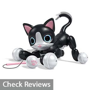 zoomer kitty